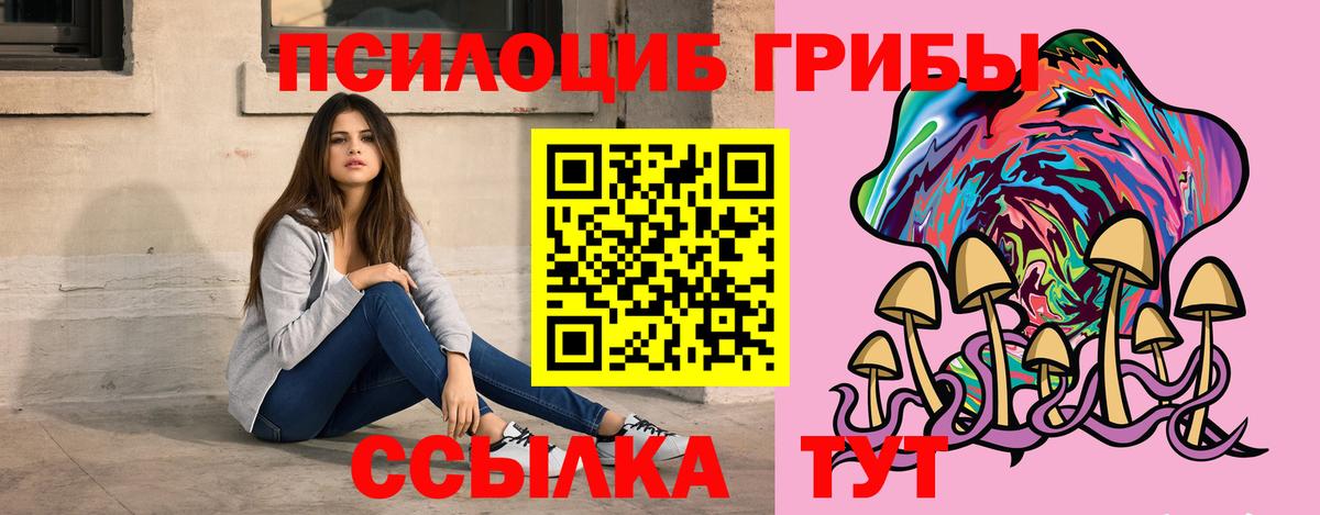 дарнет шоп  Псилоцибиновые грибы Psilocybine cubensis  Вход с VPN  Волжский 