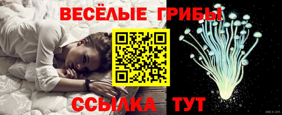 Псилоцибиновые грибы прущие грибы Волжский